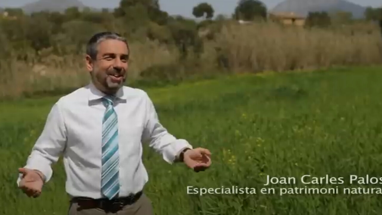 Mallorca, m'agrada! · Per què agrada Mallorca a Joan Carles Palos?