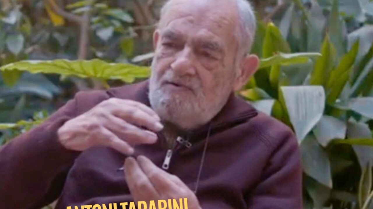 Especials · #28 · 50è aniersari PSI-PSM (Naixement)