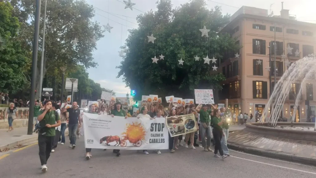 Nou clam a Palma per a reclamar el canvi de les galeres de cavalls per unes d'elèctriques